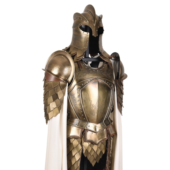 True Game of Thrones Guard Armor  - 7