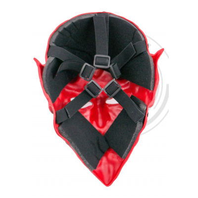 Mask of the 300  - 2