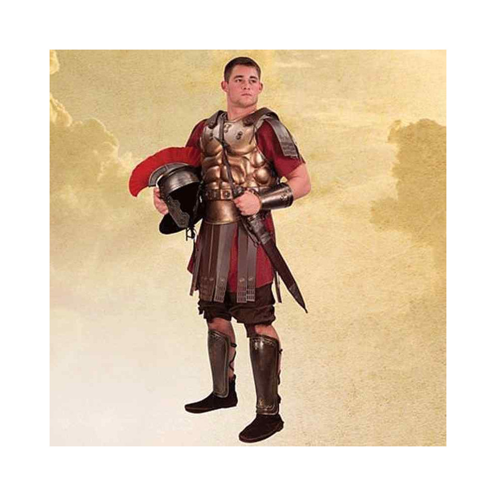 Armatura muscolare  - 4