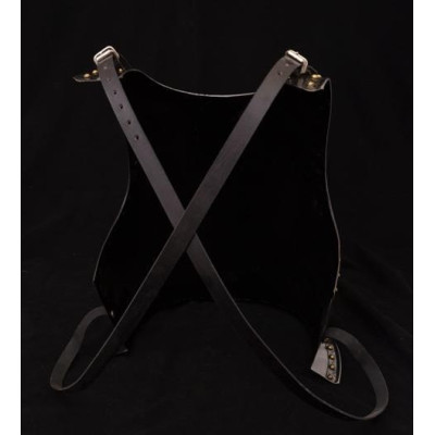 Backplate for Dark Warrior and Dark Drake  - 2
