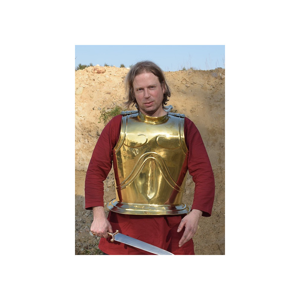 Backplate for Dark Warrior and Dark Drake  - 5