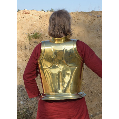 Backplate for Dark Warrior and Dark Drake  - 6