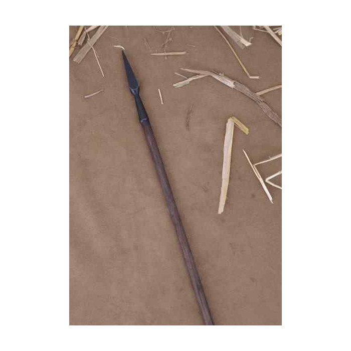 Dragão-tigre Yanone, ponta de flecha japonesa  - 2