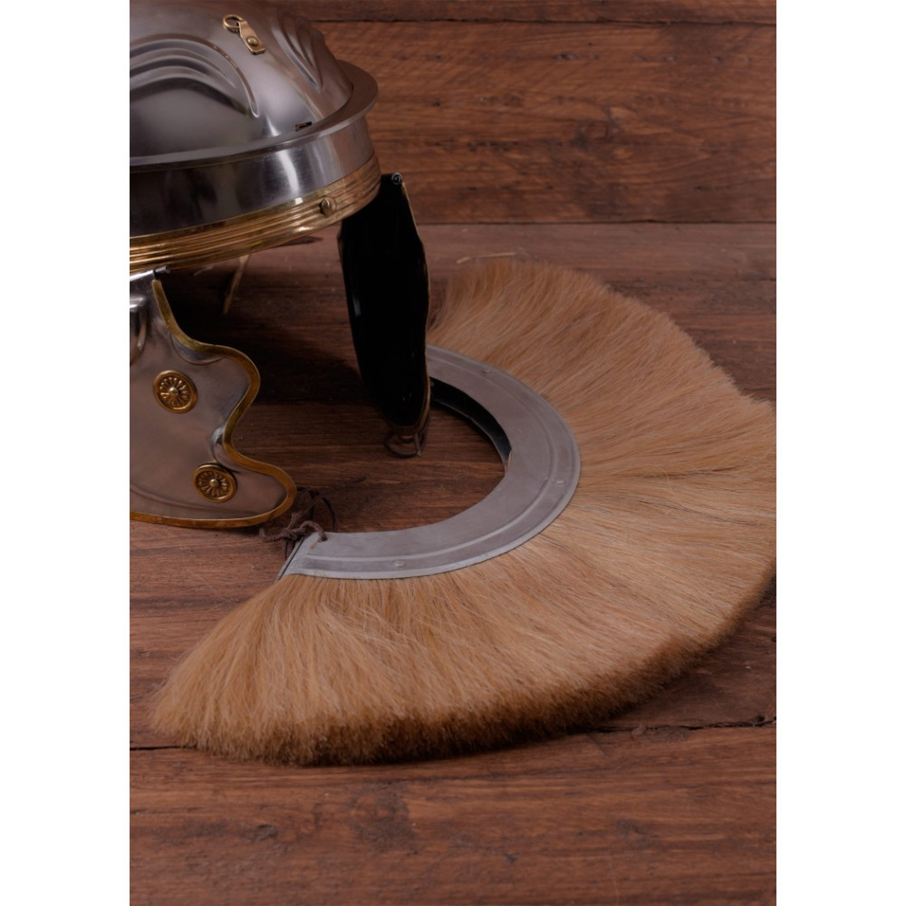 Plume claro do capacete romano  - 2