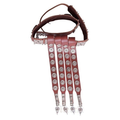 Cingulum Militare, Padrão de Mainz, 1º c.AD  - 1