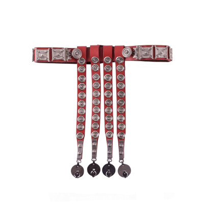 Cinctorium o ufficiale romano Balteus  - 4