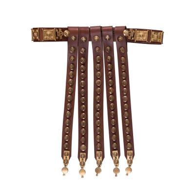 Cinctorium ou officiel Roman Balteus  - 2