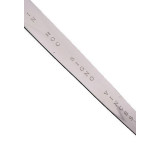 Dagger Priory of Silver Sion  - 4