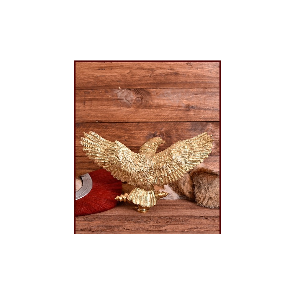 Red gladiador, Rete Inicio