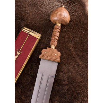 Spatha, épée romaine tardive avec gaine  - 1