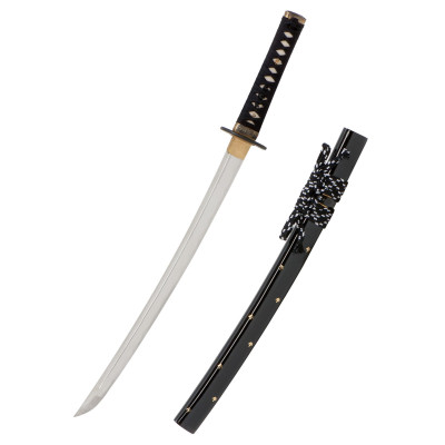 Wakizashi Zaza Iaito, John Lee  - 2