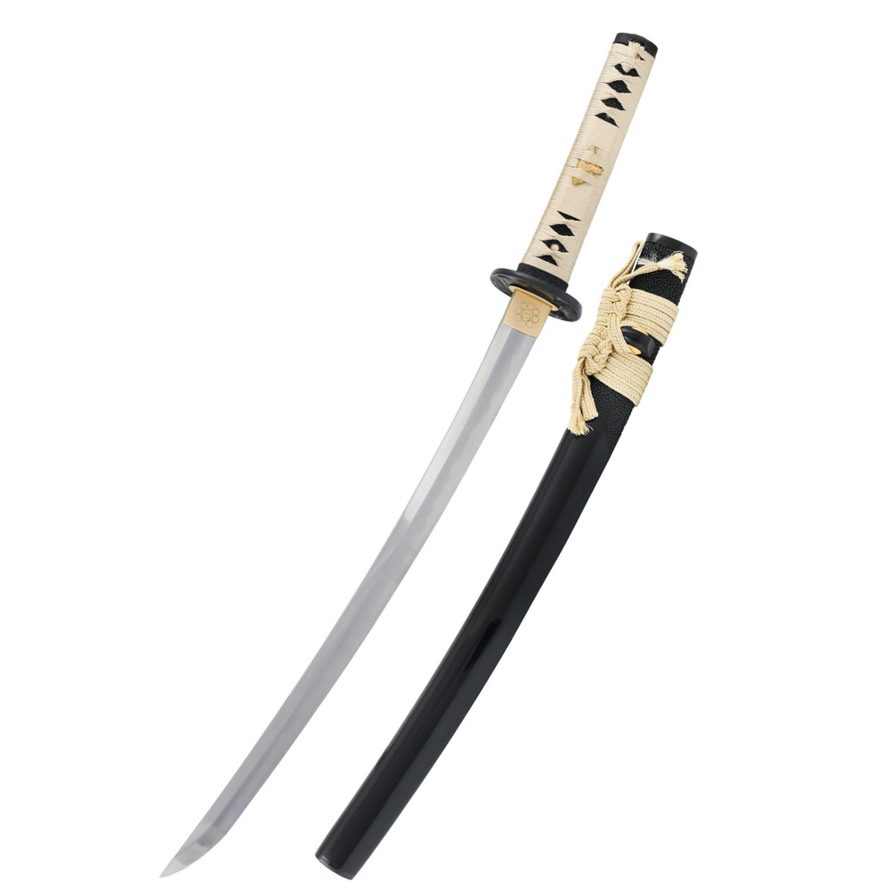 Wakizashi snake  - 1