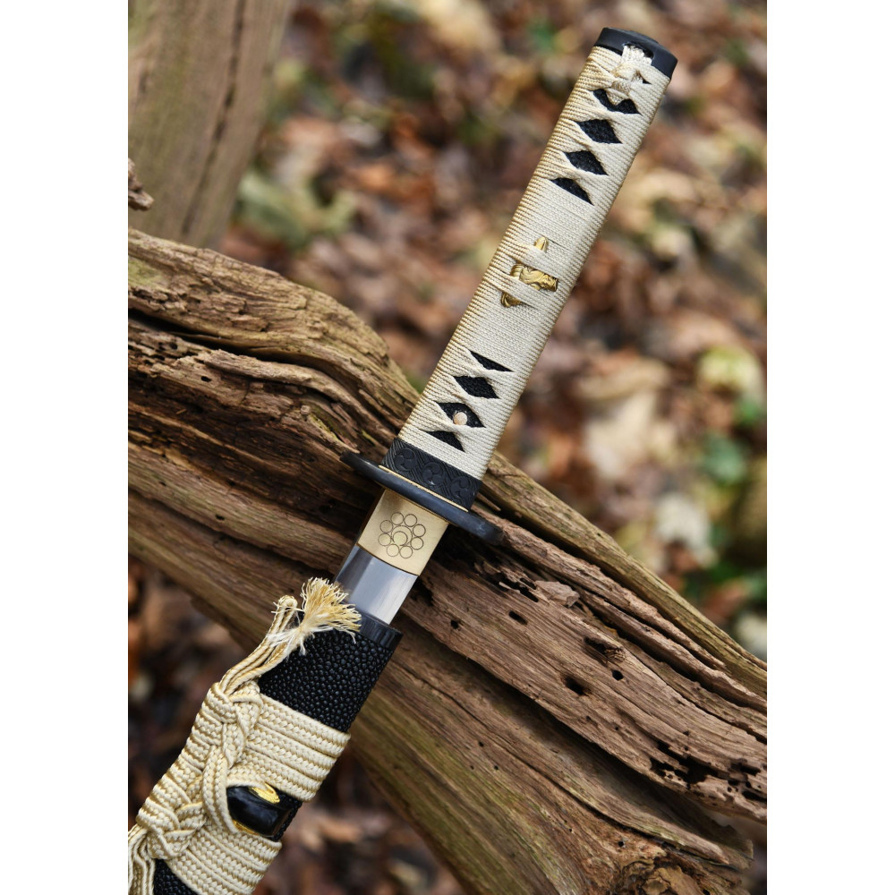 Wakizashi snake  - 2