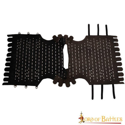 Viking Warrior Armor ideal for LARP  - 2