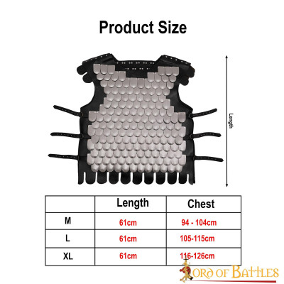 Viking Warrior Armor ideal for LARP  - 3