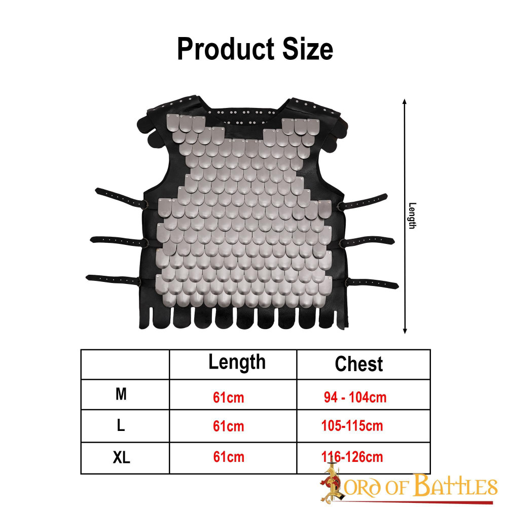 Viking Warrior Armor ideal for LARP  - 3