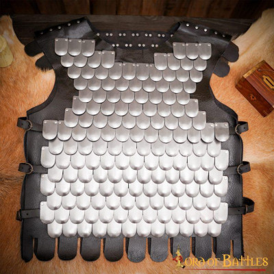 Viking Warrior Armor ideal for LARP  - 5