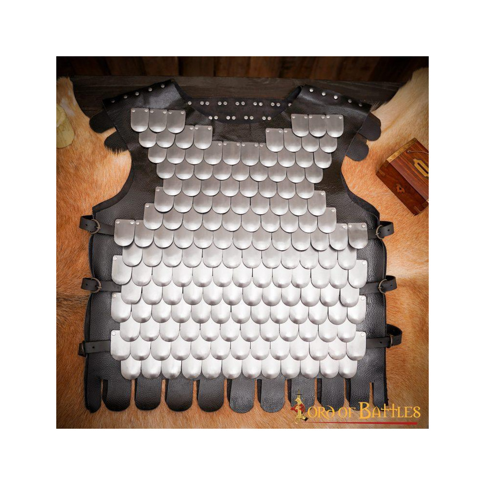 Viking Warrior Armor ideal for LARP  - 5