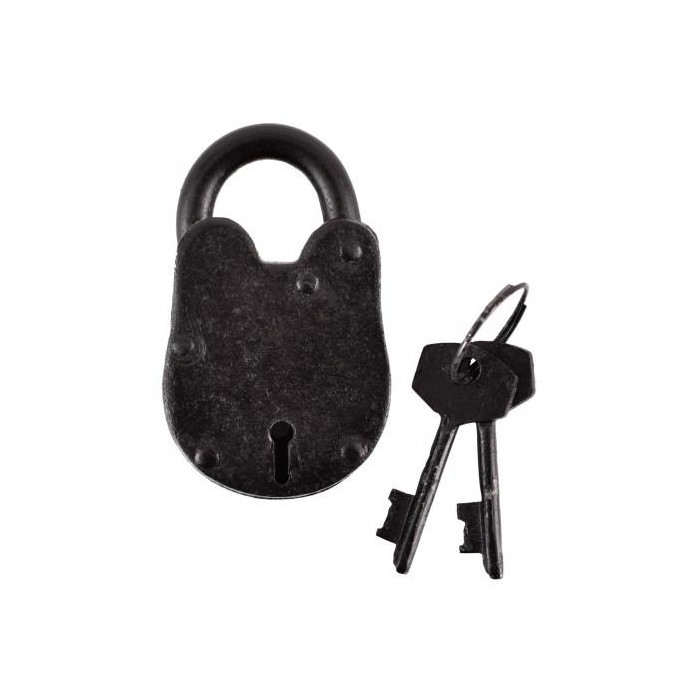 Small Steel Padlock with 2 Keys  - 1