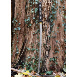 Katana Prática Plus  - 2