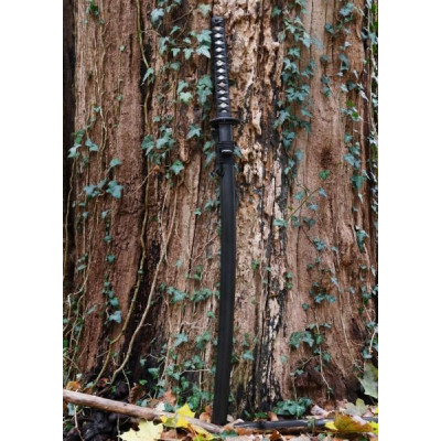 Katana Practice Plus - 3