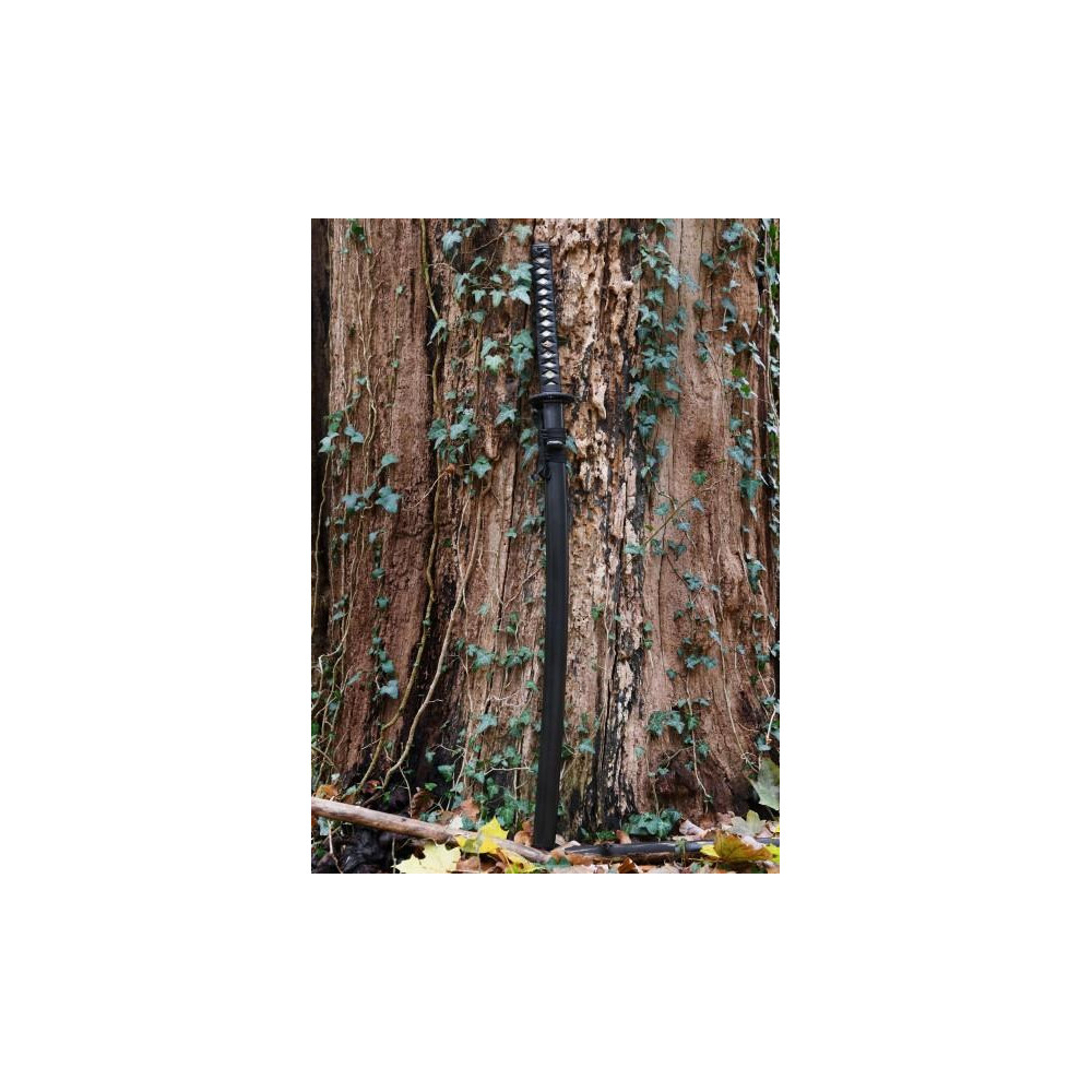 Katana Practice Plus - 3