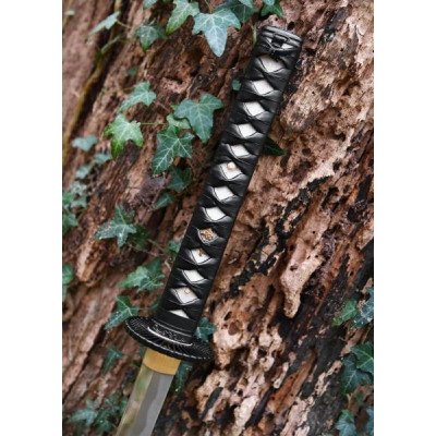 Katana Practice Plus - 4