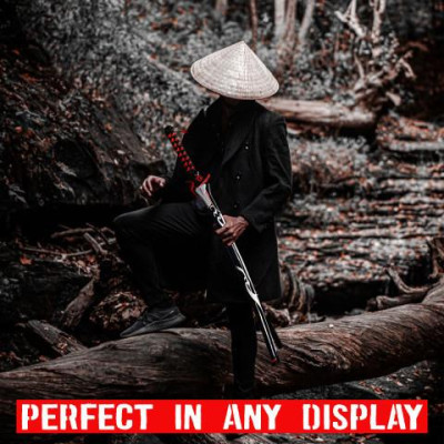 SWORD OF THE EVIL SPIRIT - OVERWATCH  - 2