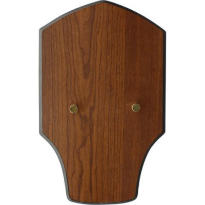 UNOFFICIAL REPLICA OF KIT RAE'S EXOTATH SWORD - 1