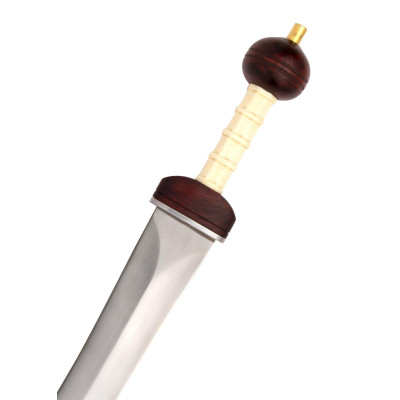 Modello Maintz Gladius, Salpa Ancora - 1