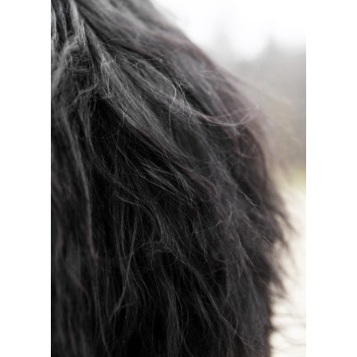 Peau d’épaule, couverture en cuir de berserker noir - 7