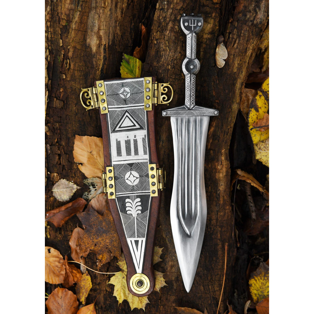 Pugio de Vindonissa con intarsi in argento - 4