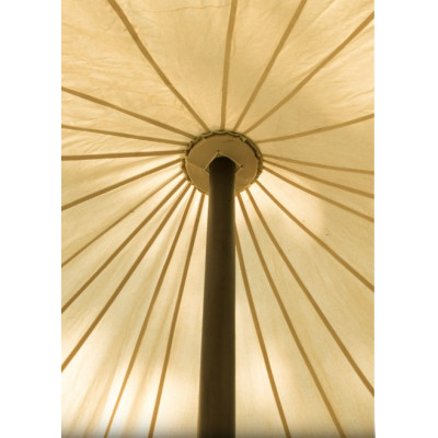 Tienda Redonda Medieval, 5 m de Diámetro, 425 gramos, color natural...