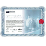 Épée courte italienne Cinquedea du XVIe siècle Commencement