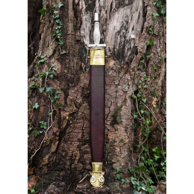 Campovalano's Hoplite Sword with Sheath Details: - Blade material: ...