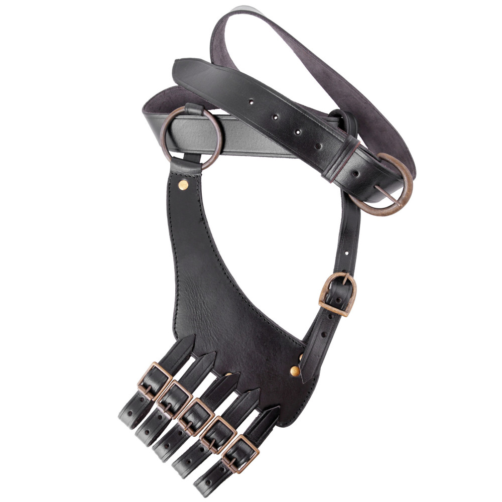 Belt and support for Rapier