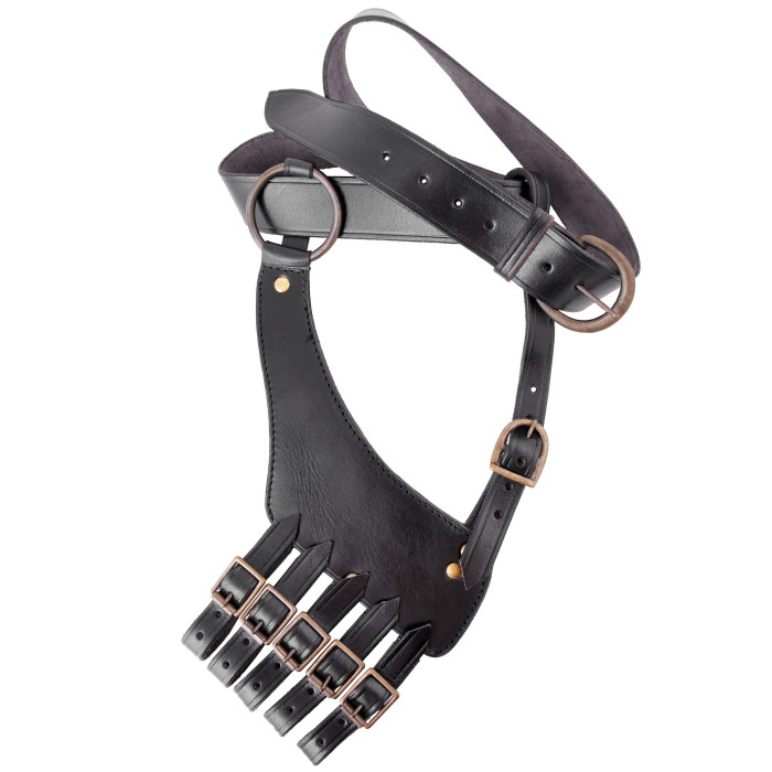 Belt and support for Rapier