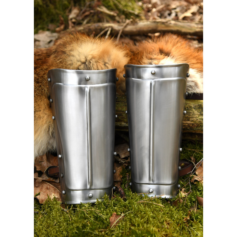 Protectores de brazo de acero Inicio