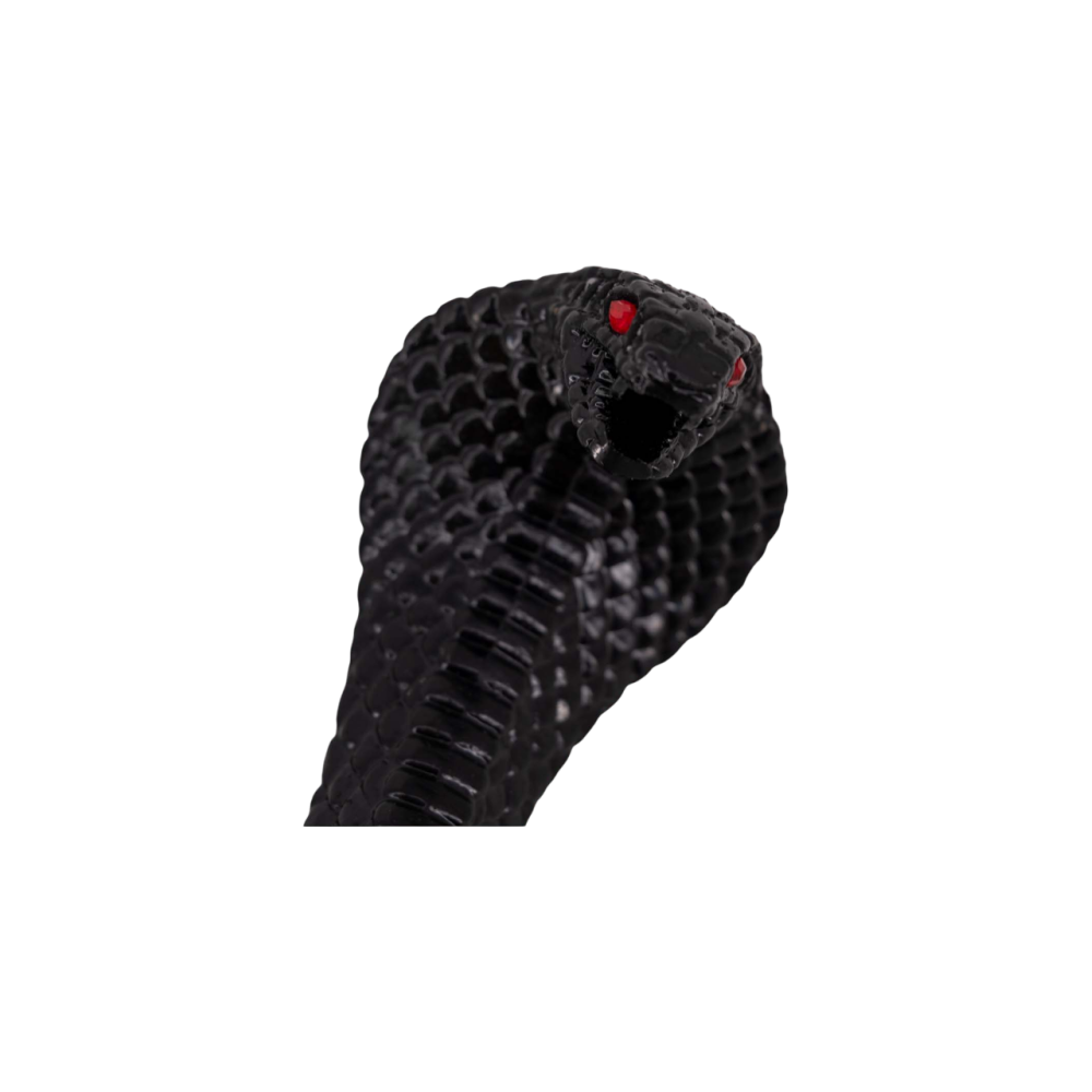 copy of Katana Cobra Commencement