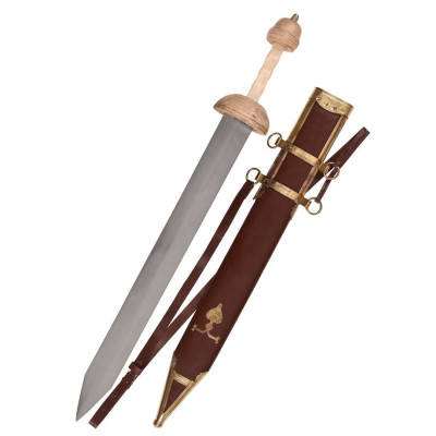 Gladius Pompeii with hem and belt - 1