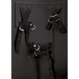 Escudo en látex  - 1