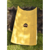 Roman Legionnaire Shield  - 3